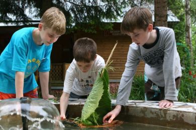 Орленок – детский лагерь в Подмосковье (г. Клин) на летние каникулы ...